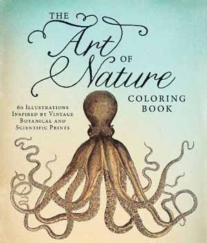 nature of art book