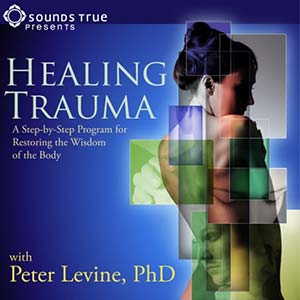 healing-trauma-course-shop